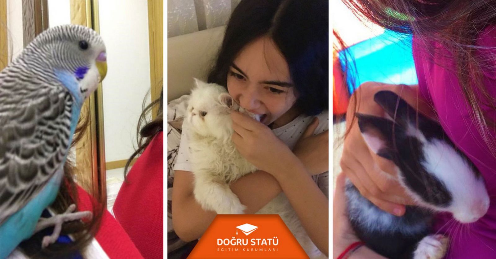 Doğru Statü Eğitim Kurumları