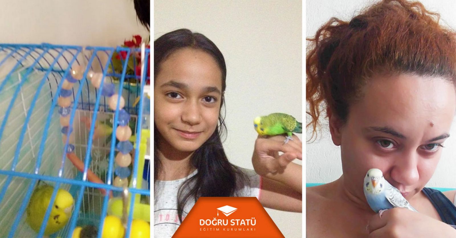 Doğru Statü Eğitim Kurumları