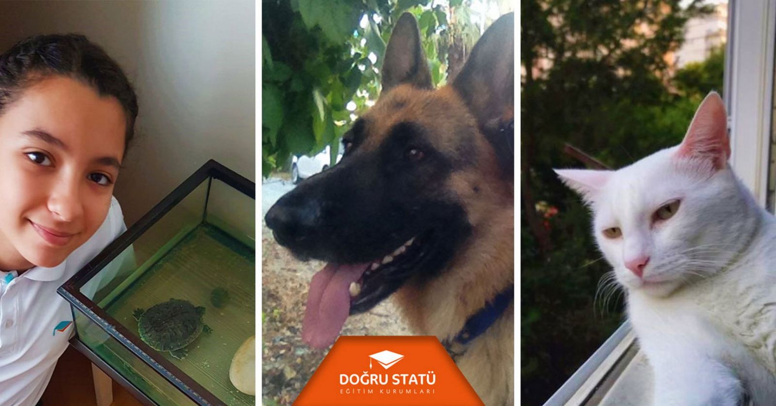 Doğru Statü Eğitim Kurumları