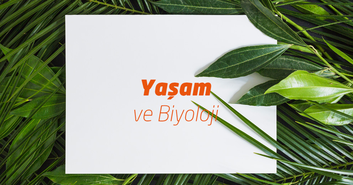 Doğru Statü Eğitim Kurumları