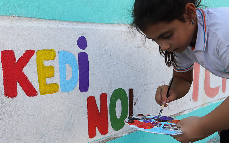 Doğru Statü Eğitim Kurumları