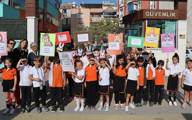 Doğru Statü Eğitim Kurumları