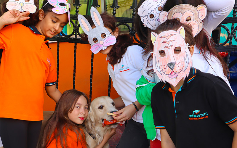 Doğru Statü Eğitim Kurumları